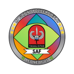 MFPR | SPECIAL ACTION FORCE