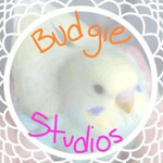 BudgieStudios