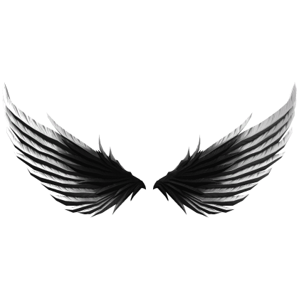 Black and Silver Wings