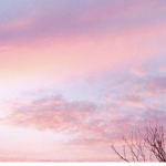 Soft Vibes :)