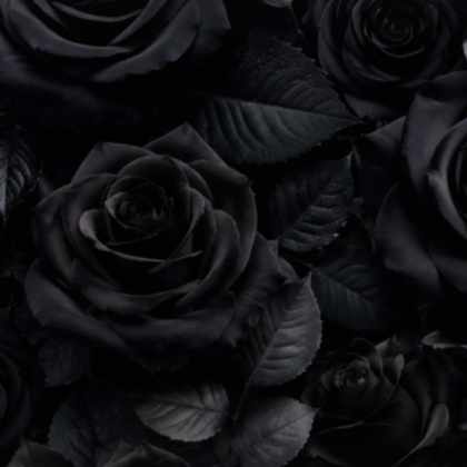Black Roses Gothic Emo Dark Rose Scene Background 
