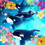 g l o o m y b e a r