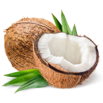 The Coconut Lovers!