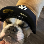 L.M.O.B