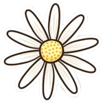 Daisi3s