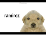 Rainbow. Meme