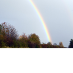 ~Team*Rainbow~