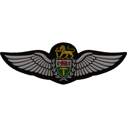 RhAF Pilots Wings