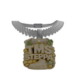 TMS Chain