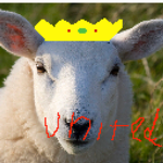 Sheep kingdom United