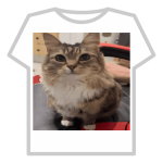 Shirtshirtsahur