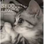 • Shooting Angels •