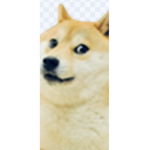 Dogos United