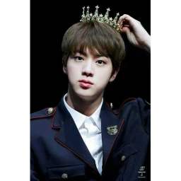 Ji n BTS ARMY icon
