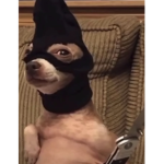 Ban SinfulDayz