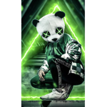 The nature panda squad
