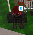 Z's hang out