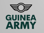 The Guinea Army