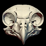 Group Thumbnail