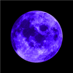Lunaria