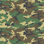 Marias army