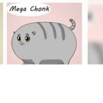 Chonk supporters