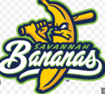 The Savannah bananas group
