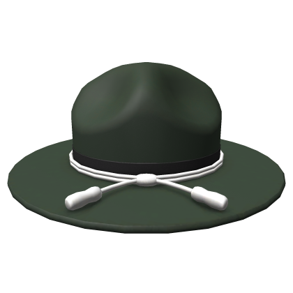 Green & Silver Police Campaign Hat Roblox item