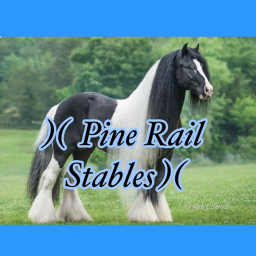 )( Pine Rail Stables)( Sneak Peak