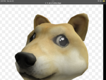 A chill doge fan group