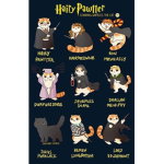 Ravenclaw Members
