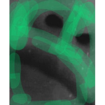 qndr3y