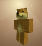 Doge community clothing