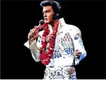The Elvis Presley Memorial Group