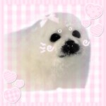 ૮꒰ ˶• ᴥ •˶꒱ა