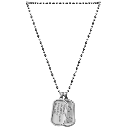 Dog Tag Necklace 1.0 thumbnail