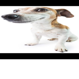 obby for karpet