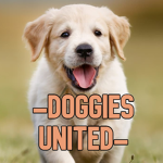 -Doggies United-