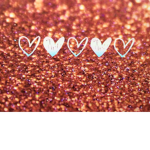 P.V.XD