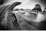 Skate and Shred it