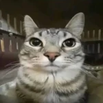 SeriUGC Group Thumbnail