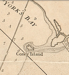 Coney Island Organization