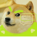 The Doges Revenge