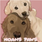 •Noah’s Apparel!•