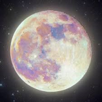 Moonyvibez