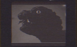 Godzillatheking playz OFFICIAL GROUP