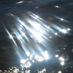 Dreaming light