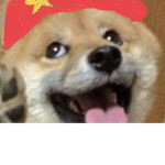 Doge commandos