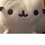 Pusheen everything