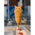 kool_kat_klub